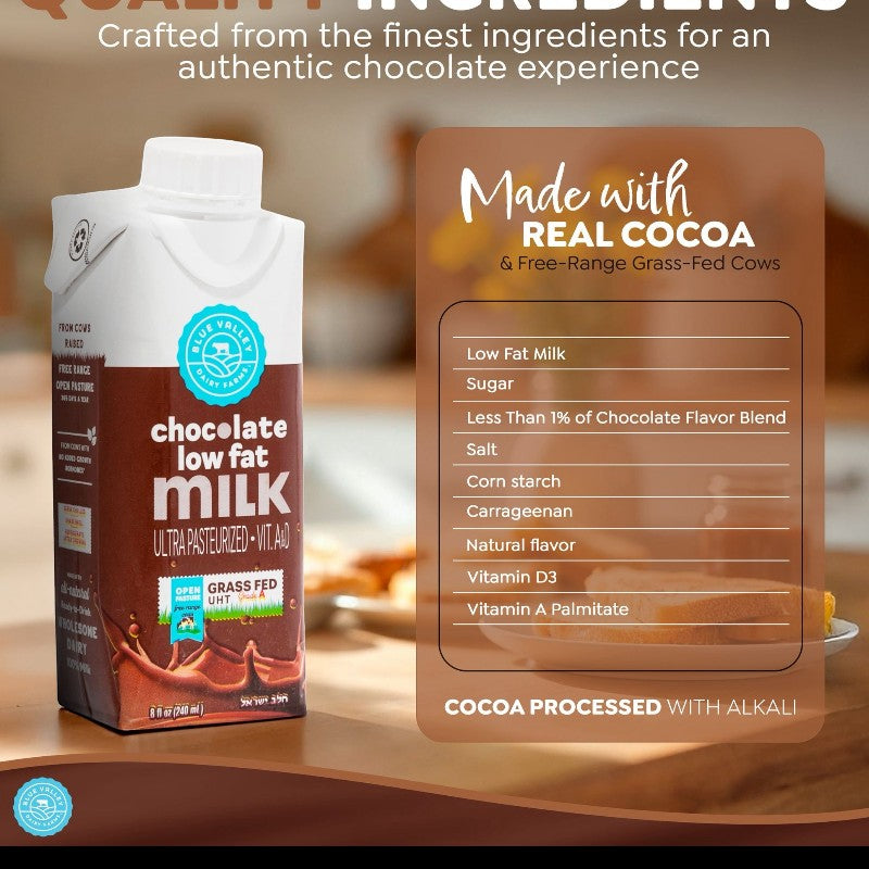 Blue Valley Leche De Chocolate Jalab Israel 240ml